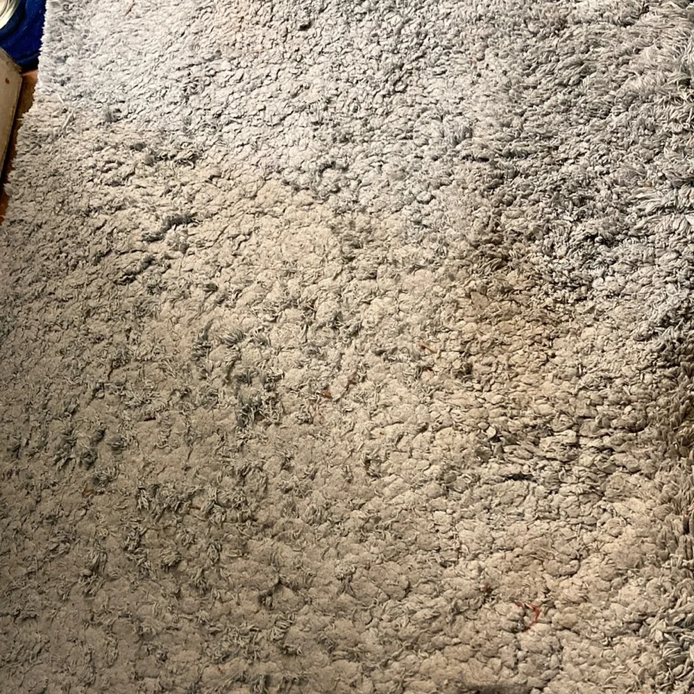 Carpet